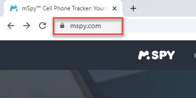 mspy official website