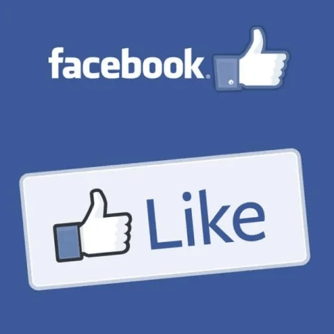 facebook likes