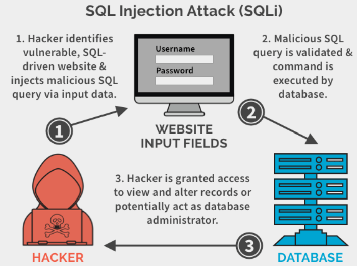  SQL Injection