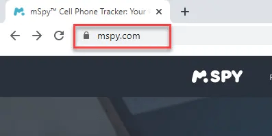 mSpy.com