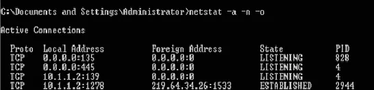 type "netstat -an"