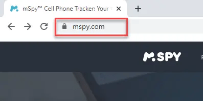 Use Parental Control App/mSpy to screenshot a snap