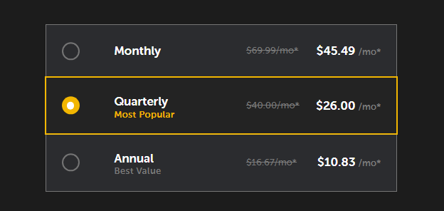 Spynger Pricing and Plans